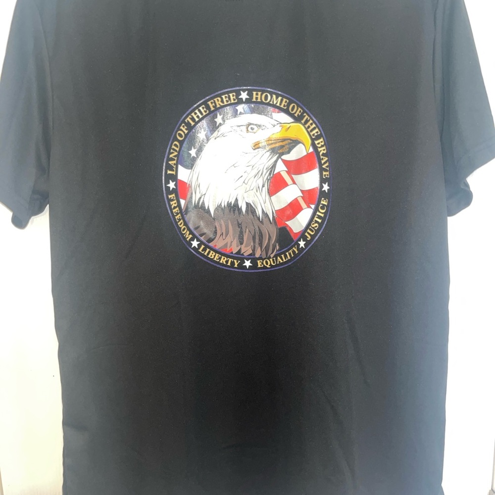 American Eagle Graphic T-Shirt - Patriotic Men's Black Tee / Land of the Free